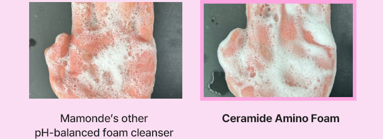 Mamonde’s other pH-balanced foam cleanser, Ceramide Amino Foam