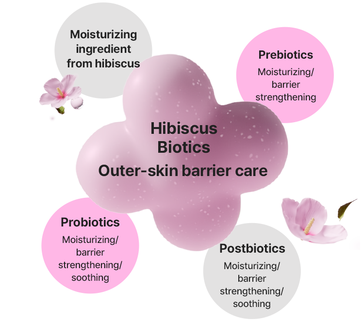 Hibiscus Biotics/Outer-skin barrier care