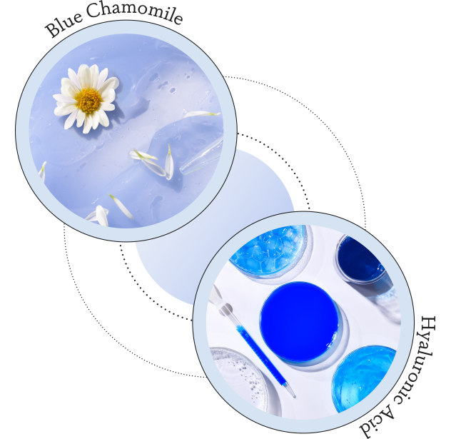 Camomille Bleue / Acide Hyaluronique