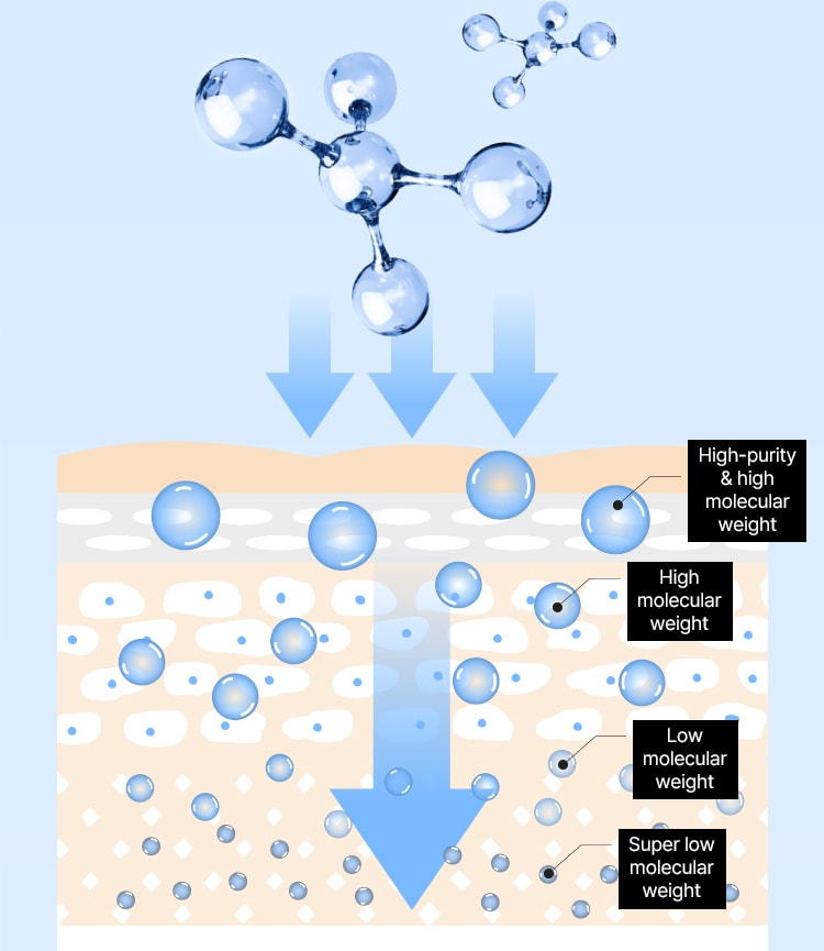 High-purity & high molecular weight → High molecular weight → Low molecular weight → Super low molecular weight