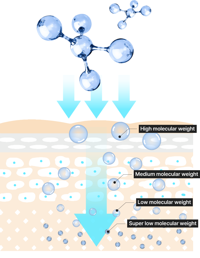 Super low molecular weight, Low molecular weight, Medium molecular weight, High molecular weight