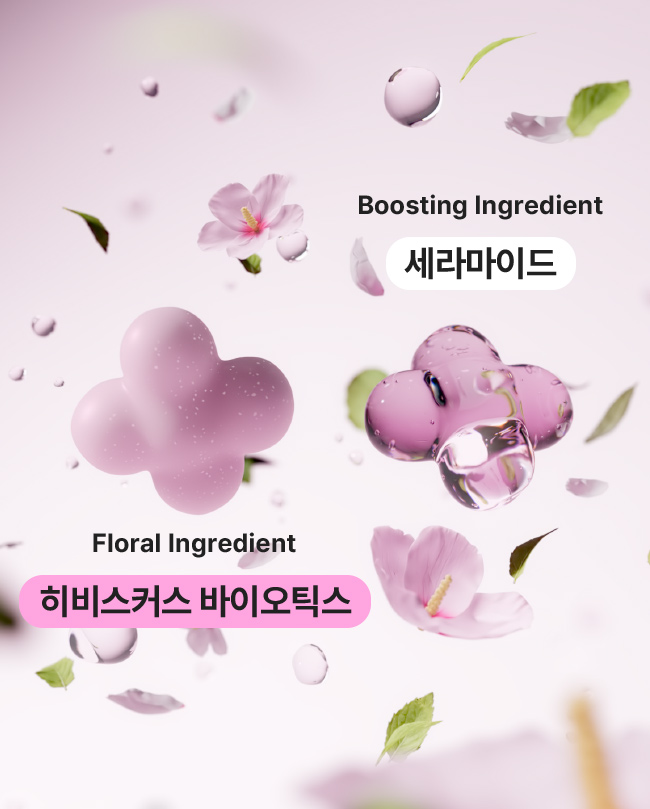 Boosting Ingredient 세라마이드 / Floral Ingredient 히비스커스 바이오틱스